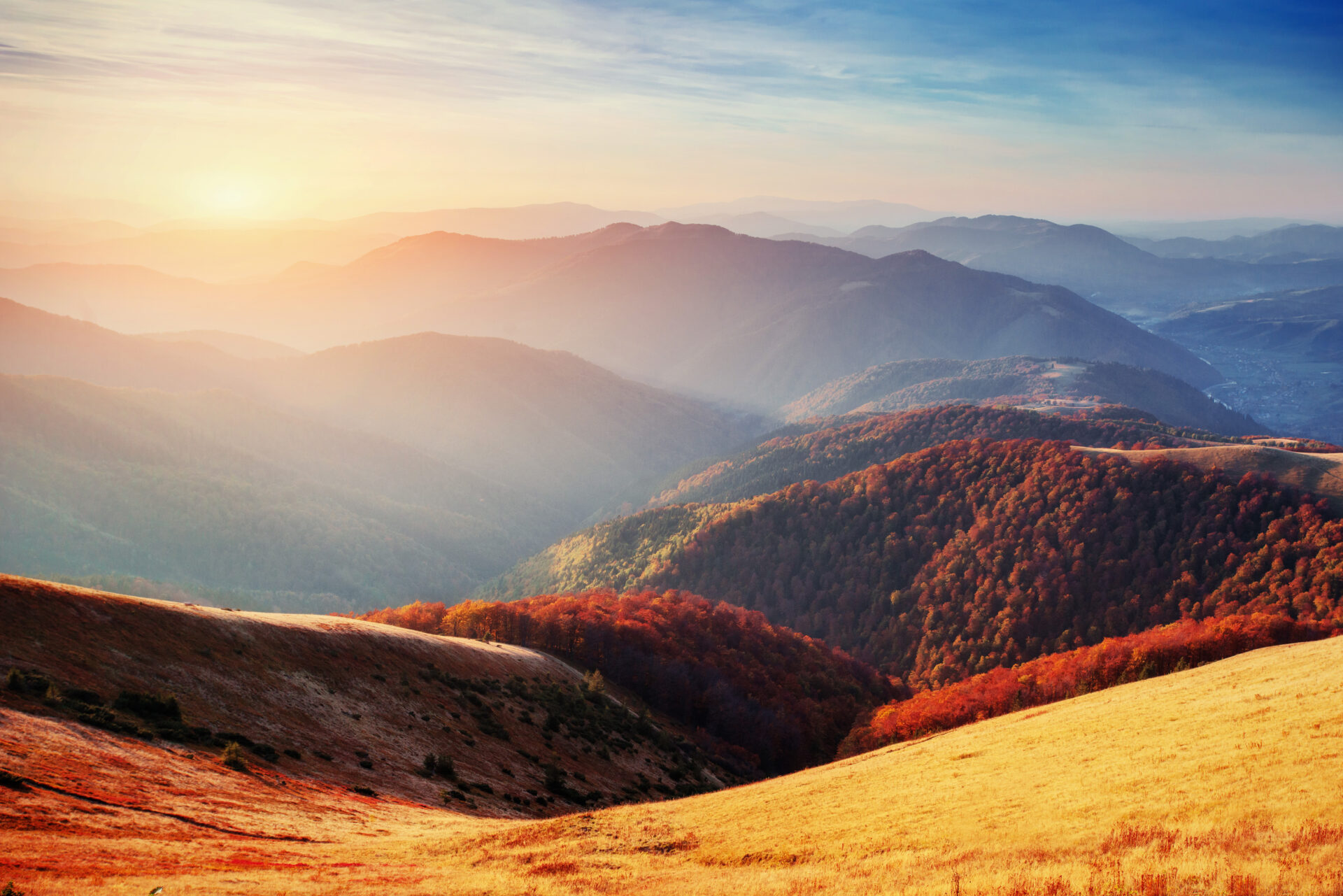 Make Getty Images Photos Larger